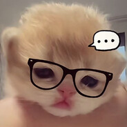 忧郁猫咪在被窝