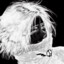 [IRK] catven6655 -iwnl-
