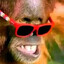 Vilhena