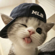胖猫