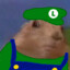 Luiggi Esquilo