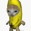 Banana Cat