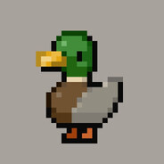 duck_