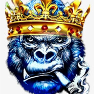 ℙℙ𝕒𝕜𝕊𝕊𝕖𝕟ℝ𝕠𝕪