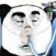 driverski avatar