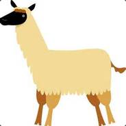 The Fantastic Llamaboy