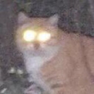 劣空格土豆显圣真君