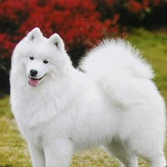 城北发廊首席理发师Jimmy