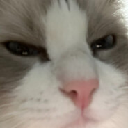 人性的背后是白云苍狗，愿你我做生活的高手