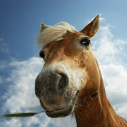 мультифрукт