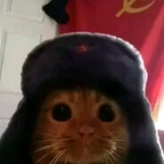 遇到危险退后一步 将众