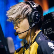 不知道取什么名字