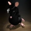 rats_in_myhead