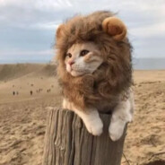 水枪装尿滋谁谁叫