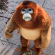 Jerta
