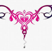 碧桂园五星上将