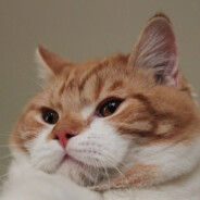 Демон Из Зада