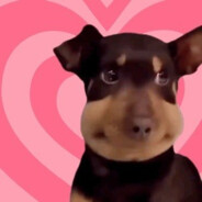 芝麻汤圆敲好吃