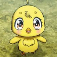 Player avatar