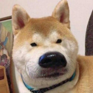 自作多情是舔狗