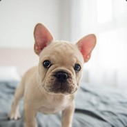 扶我起来继续塞A