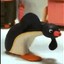 NOOT NOOT