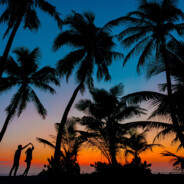 爆了你的小金金