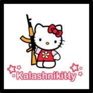 TheEvanCat avatar
