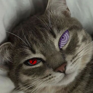 flyour's avatar