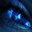 Zlyp |