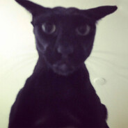 TheZenmaster's avatar