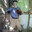 ImPeroX