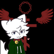 Zhenya Da Femboy Raccoon