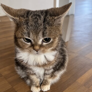 lamppea