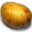 potato