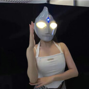 终是庄周梦了蝶