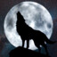 NiteWolfdv