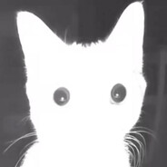 lopatavgroby avatar