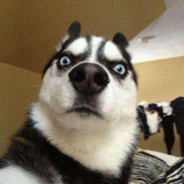 清朝老兵请求出战