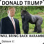 Trump Will Bring Back Harambe