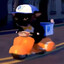 pizza delivery cat