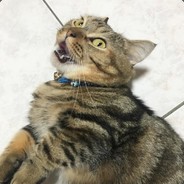 酒泉卫星发射中心