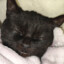 Athos