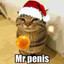 Mr Penis
