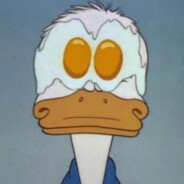 斑马小镇第2.5突击手