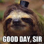 Mr. Sloth