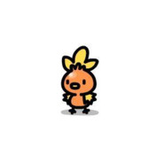 Torchic