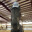 Horselover665