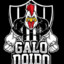 Galo Doido B̷HZ