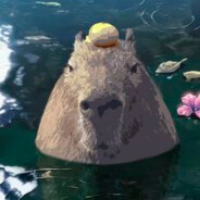 darsee - steam id 76561199235721517